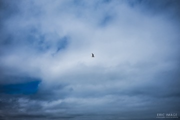 DSCF0259-编辑