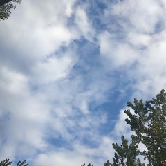 104504