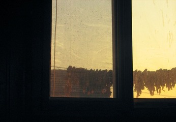 Out of the window