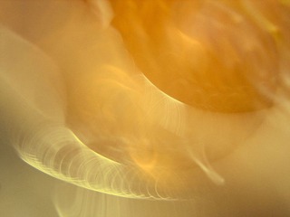 honey