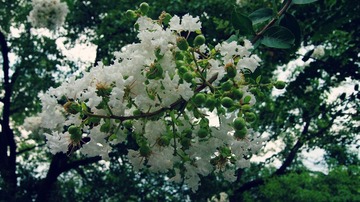 DSC09061_