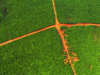 DJI_0110