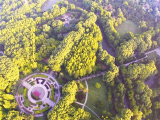 DJI_0273