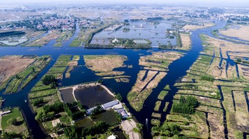 DJI_0022
