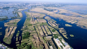 DJI_0023