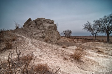 DSC_0075-1-2-1