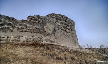 DSC_0098-2-1