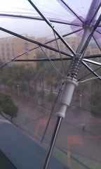 IMAG0971