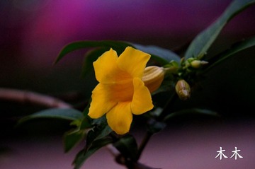 DSC02188__