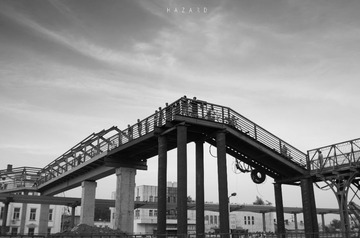 IMGP2329-1