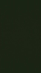 1243353