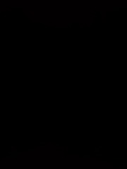 1010081