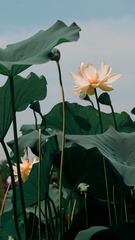 001