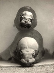 1930