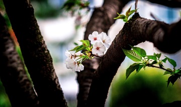 071D7690-0E1E-431B-B641-DA14163F1CB0/L0/001