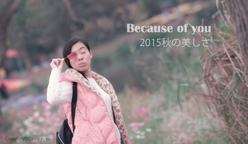 2015-11-14 (88)a