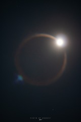 1189121
