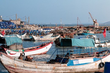 484691