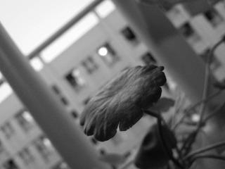 20140511_195239