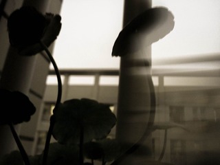 20140511_195421
