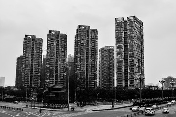 DSC_2039-2