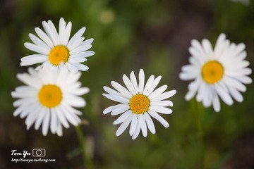 20140529001