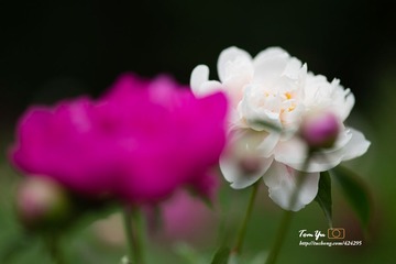 20140605001