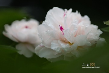 20140605002