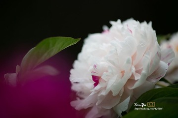 20140605003