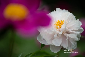 20140605005