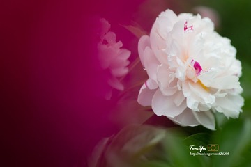 20140605006