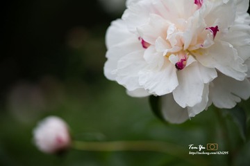20140605007