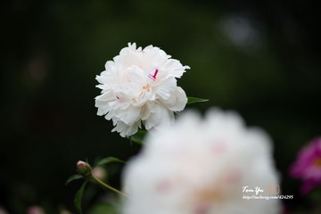 20140605008