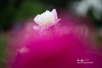 20140605009