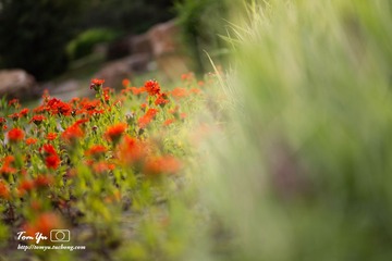 20140605012