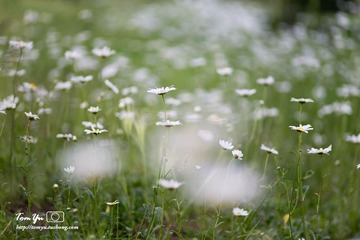 20140605017