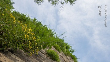 _DSC0862