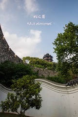 _DSC0906