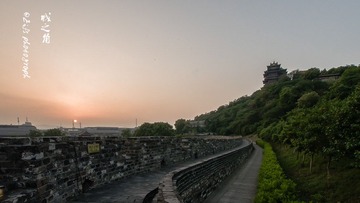 _DSC0958