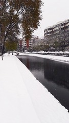 508766