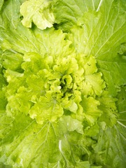 4E8D8C2C-CFFF-46D9-BC0D-1599E0807775/L0/001