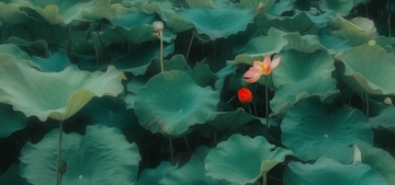 IMG_5904-编辑