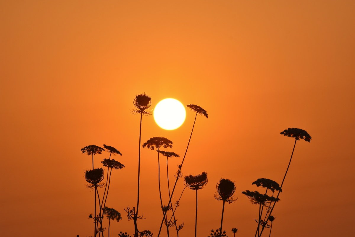 美好的一天从清晨开始