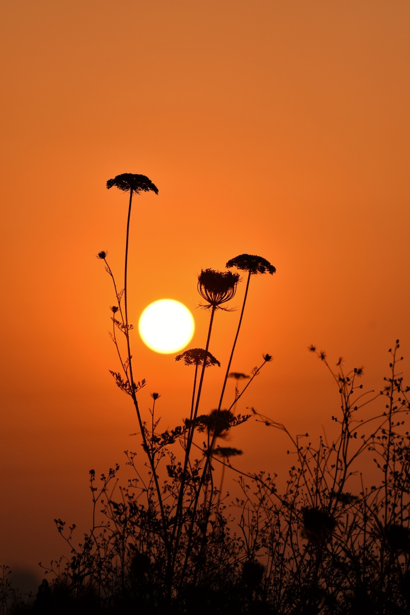美好的一天从清晨开始
