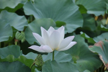 苏州
