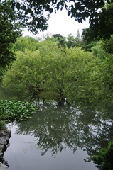 杭州