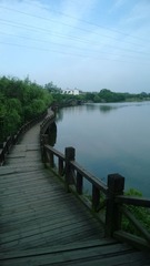 WP_20140428_16_39_44_Pro
