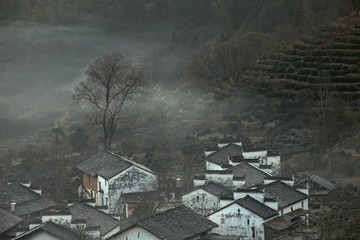 晨雾