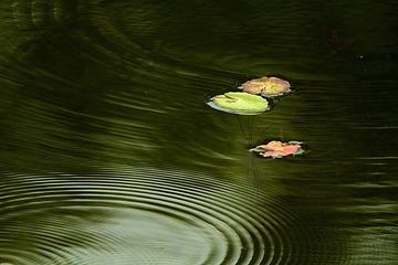 IMG_9534 1