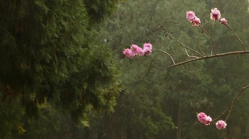 P1010750